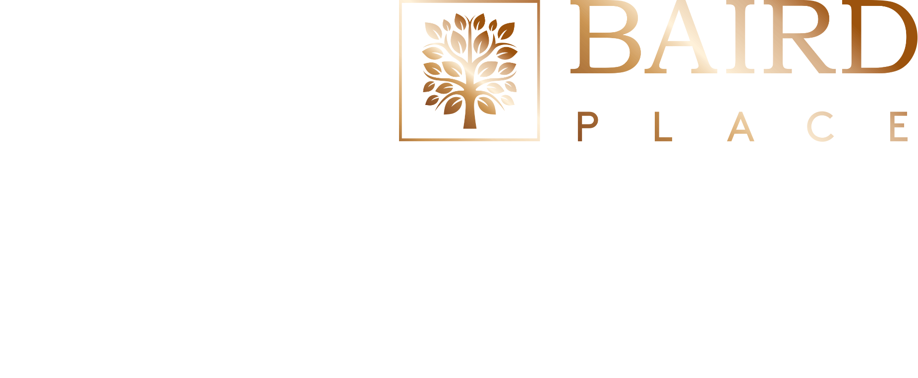 Baird Place, Hastings - New Homes | Orbit Homes | Gemselect Logo